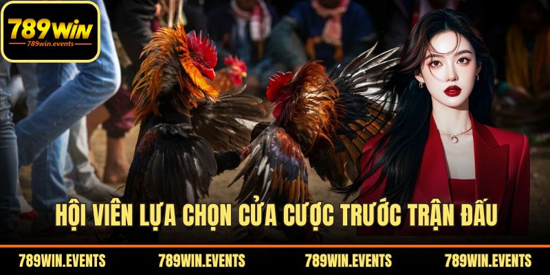 Hội viên lựa chọn cửa cược trước trận đấu