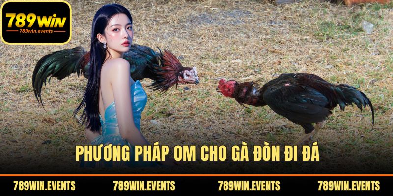 Phương pháp om cho gà đòn đi đá