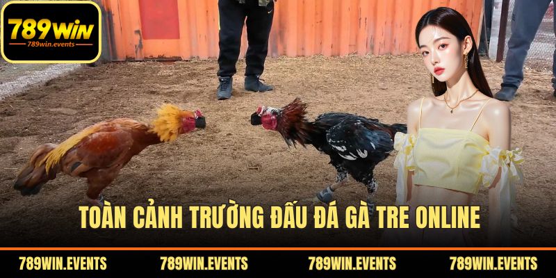 Toàn cảnh trường đấu đá gà tre online